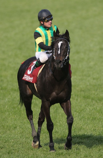 �X�v�����O�r