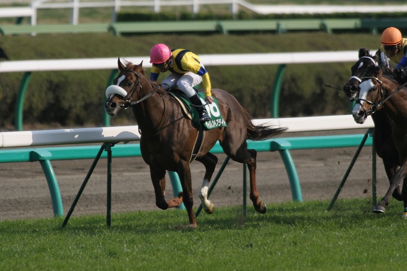 �_�[�r�[���b�s