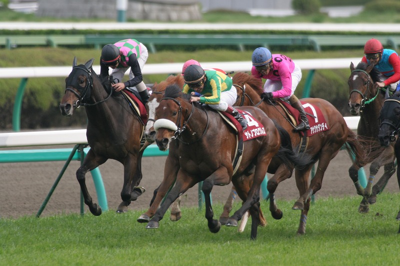 �j���[�W�[�����h�g���t�B�[