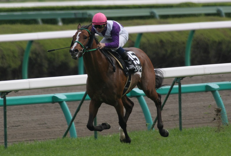 �쓇�����