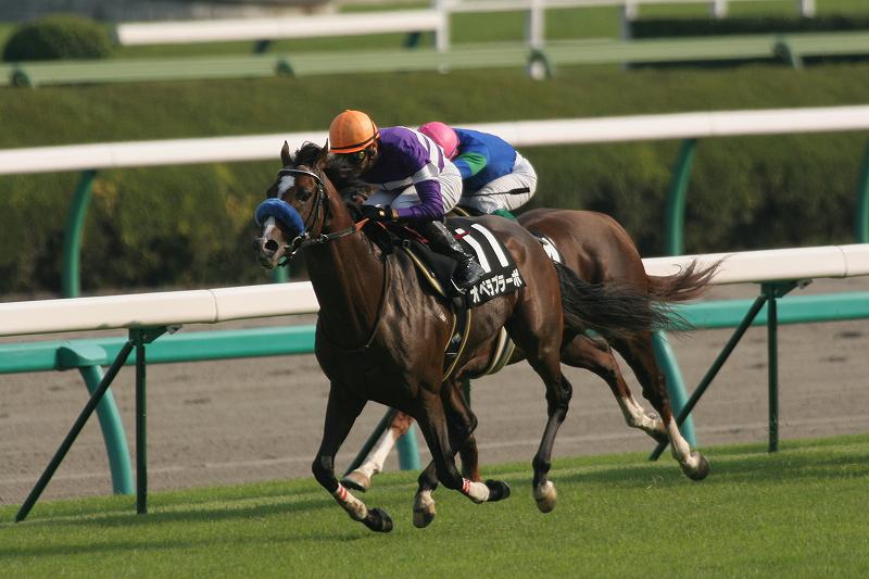 ���C���{�[�r