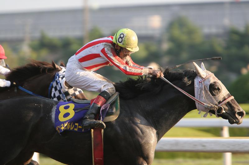 ���{�e���r�u�iJpnII�j����