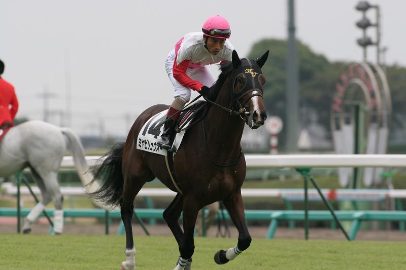 �V�n��@�Ԃ��n