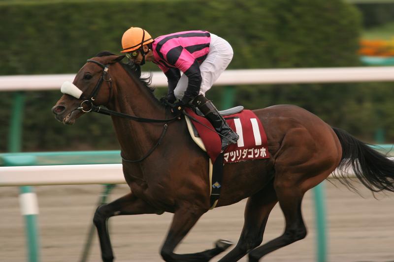 �I�[���J�}�[�@�P���ڃX�^���h�O