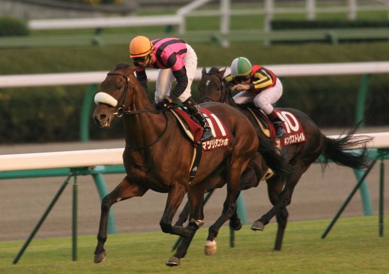 �I�[���J�}�[�@�S�[��