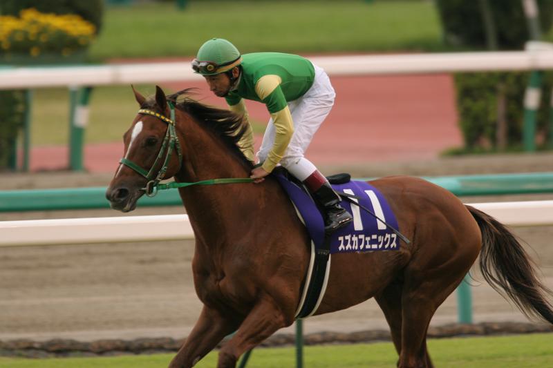 �X�v�����^�[�Y�r�@�Ԃ��n