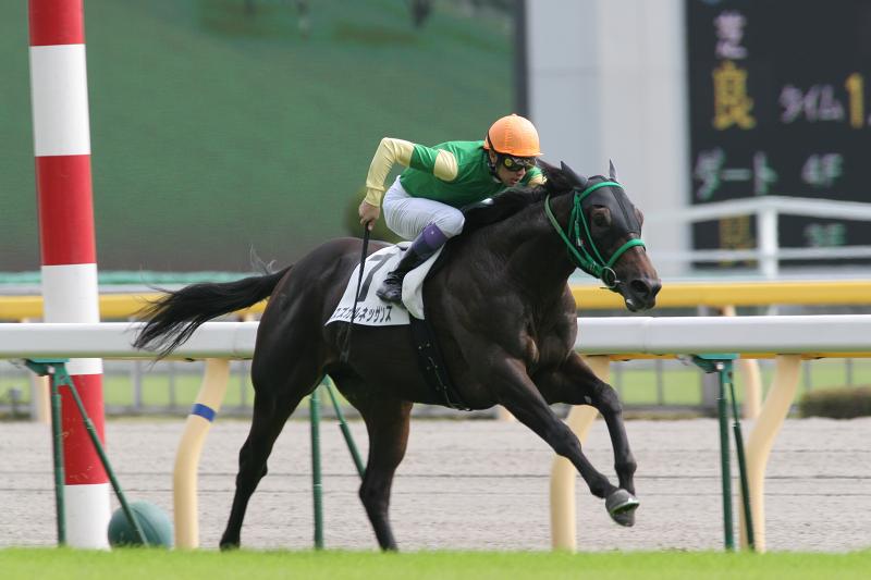 �V�n��@����