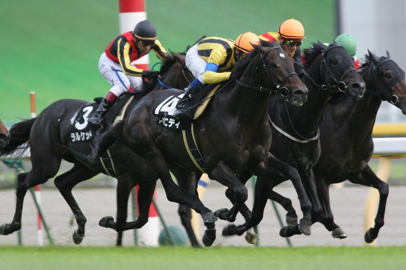 ���͌Γ��ʁ@����