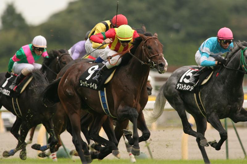 �I�N�g�[�o�[�r�@����