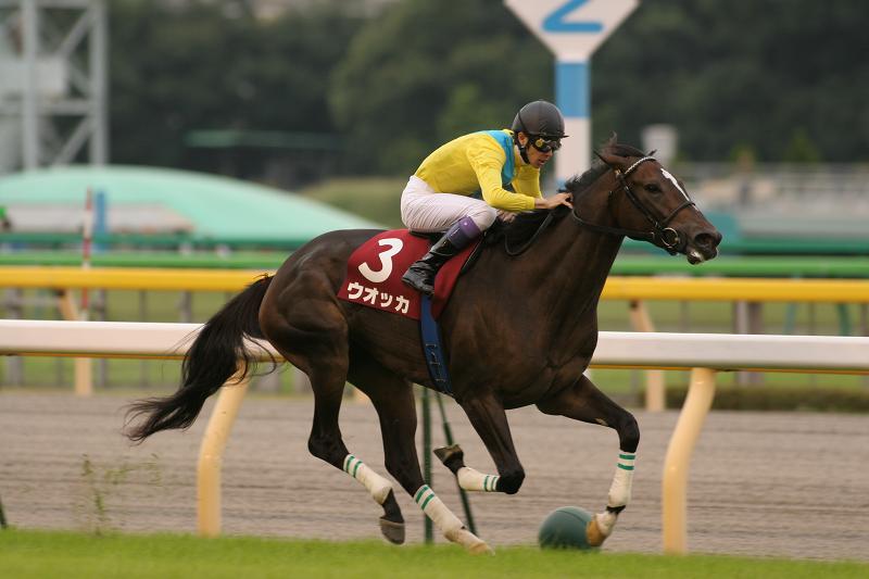 ���������@����