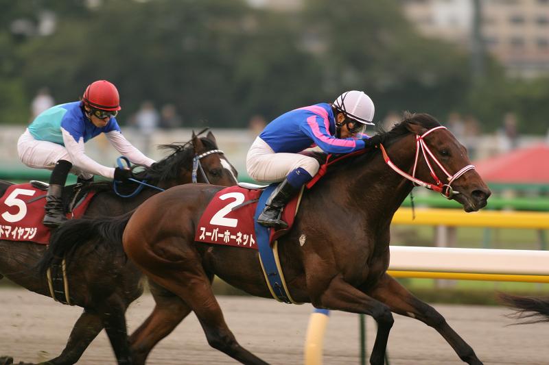 ���������@����