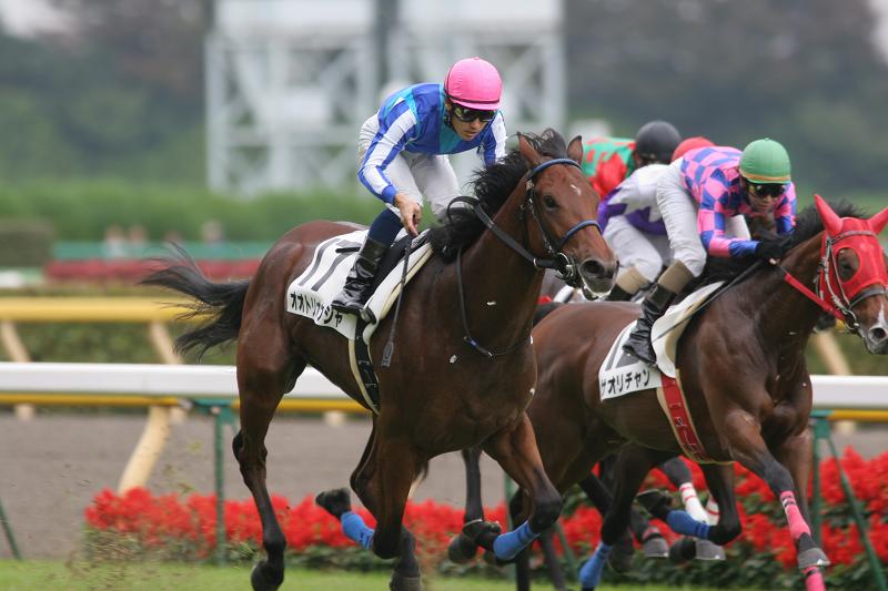 �V�n��@����