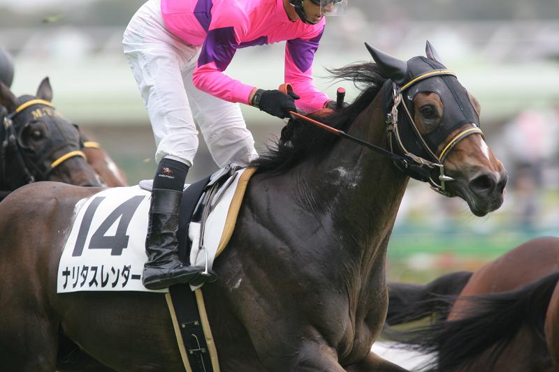 �V�q�@�T�O�O����