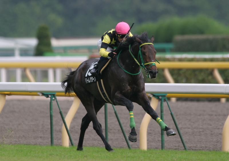 �앐���ʁ@����