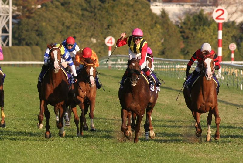 �i�b�S�[����