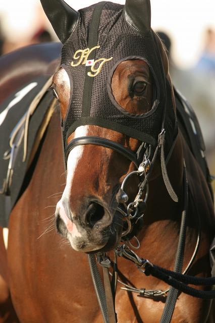 �~���r�����E�I�[