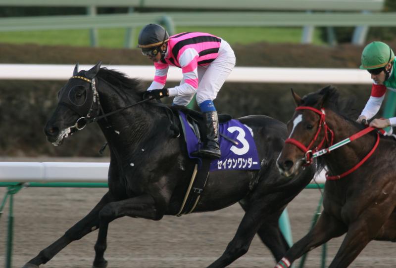 �����t�S�[����