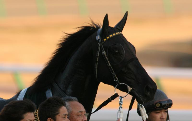 �����tFS_winner