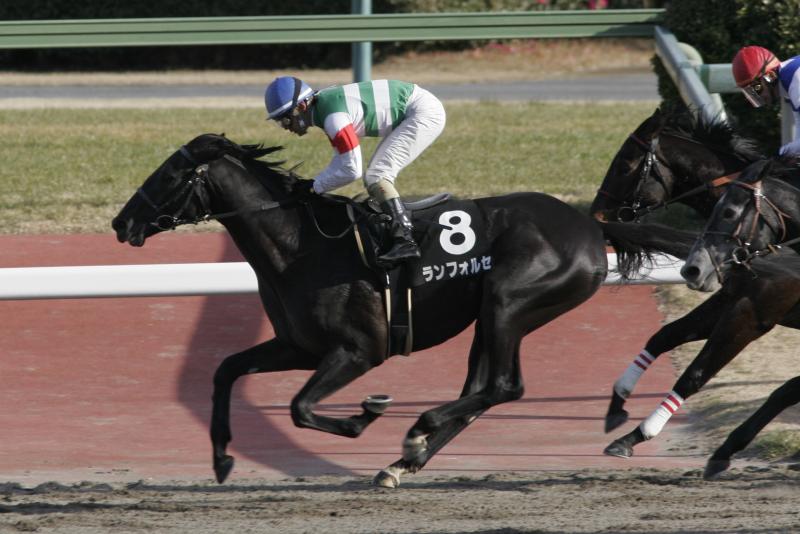 ���|�܁@�D�� �����t�H���Z