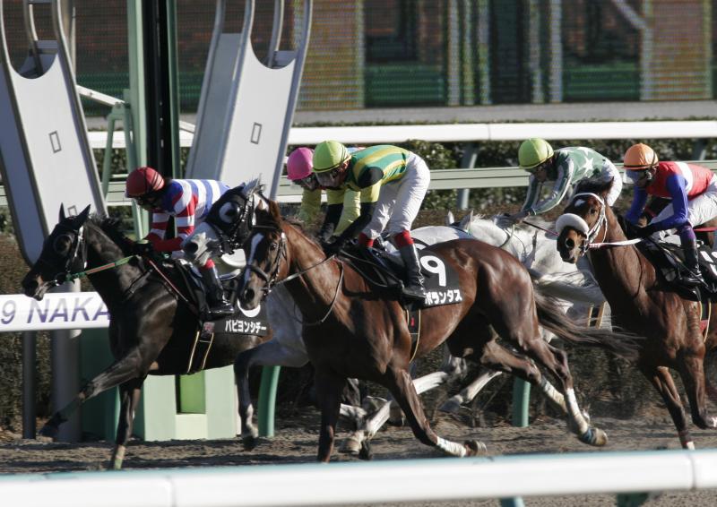 11�� �����r