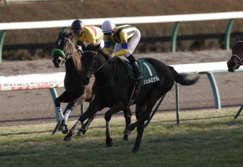 11�� �t�F�A���[�r