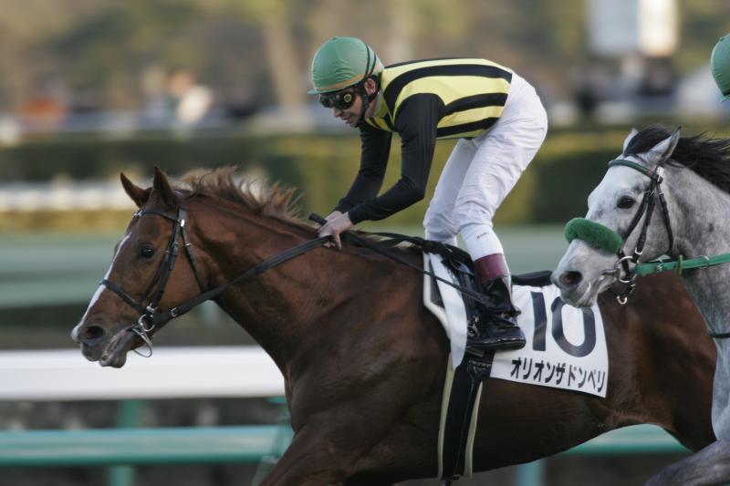 11�� 12R 1000����