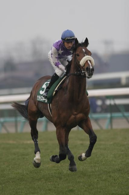 �����t �T�����C�Y�L�[��