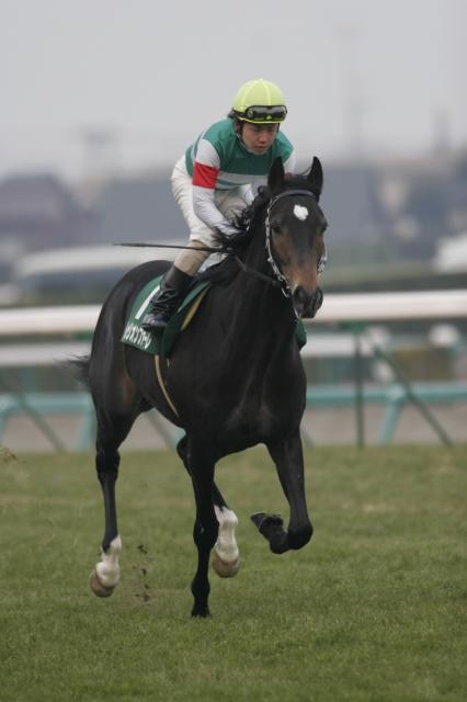 �����t �g�D���I���t�@�[��