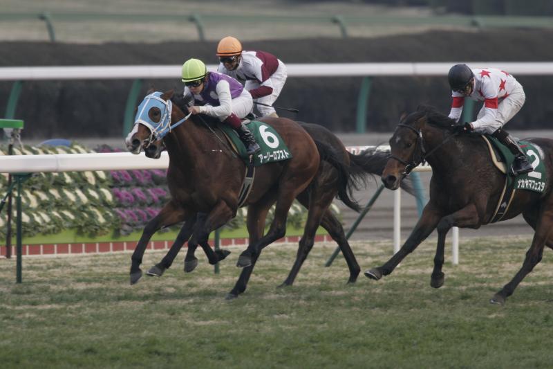 �����t �S�[��