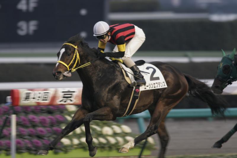 12R 1000����