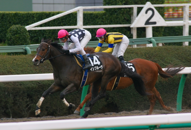 �u���b�h�X�g�[���r