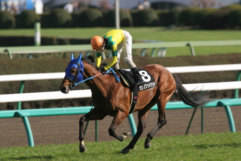 �T���V���C���r