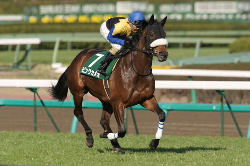 ���R�Ĕn�r�@�Ԃ��n�@�s���N�J���I