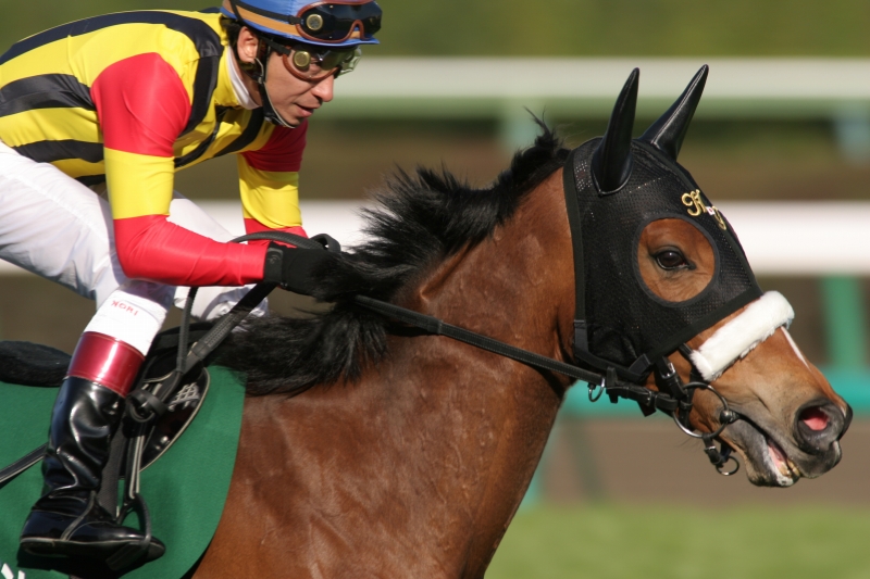 ���R�Ĕn�r�@�Ԃ��n�@�L�X�g�D�w����