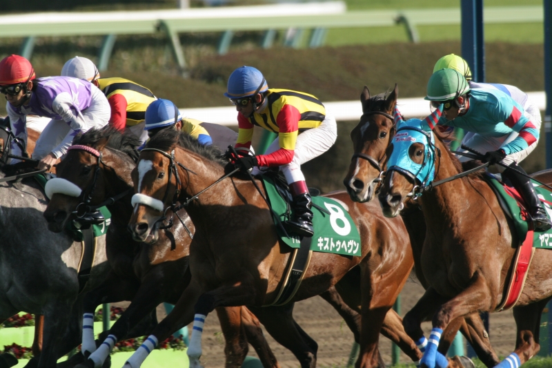 ���R�Ĕn�r�@���ʃX�^���h�O�@�L�X�g�D�w����