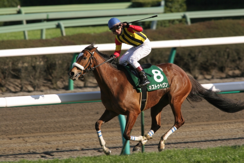 ���R�Ĕn�r�@�L�I�̔��@�L�X�g�D�w����