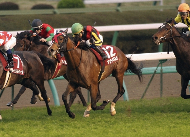 �X�v�����O�r