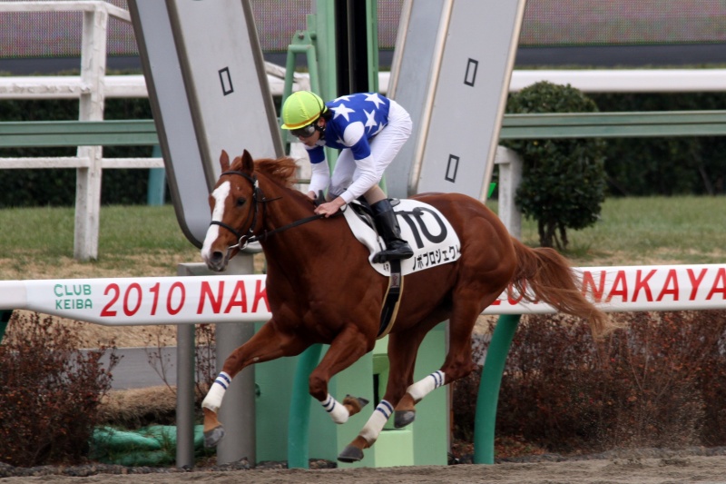 �P�������A�m�{�v���W�F�N�g