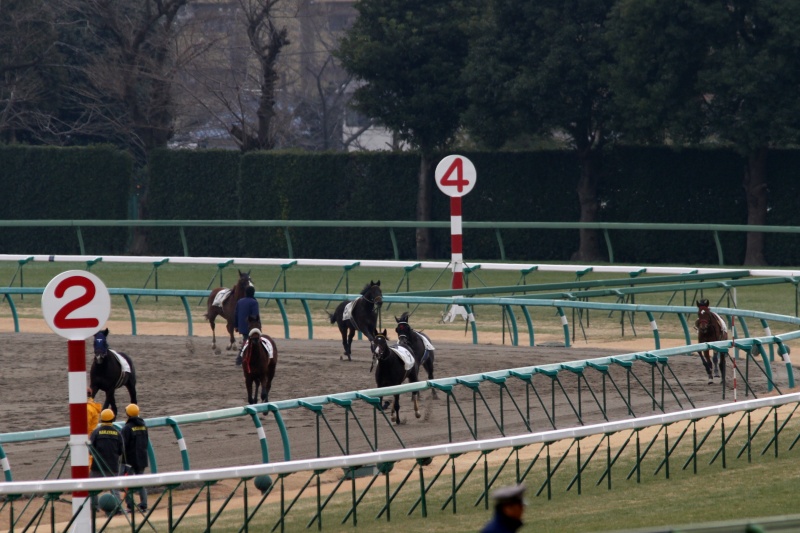 �J���n���E�E�E