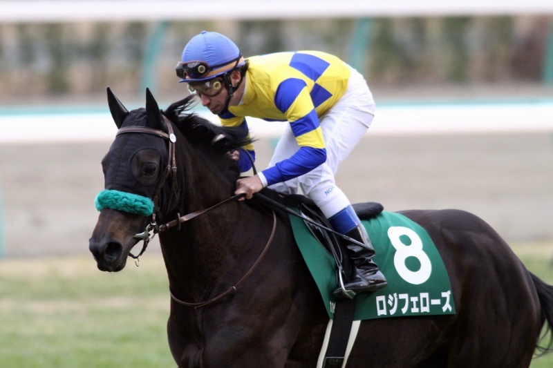 �t�F�A���[�r�@�Ԃ��n�@���W�t�F���[�Y