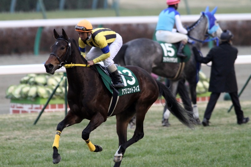 �t�F�A���[�r�@�Ԃ��n�@�A�v���R�b�g�t�B�Y