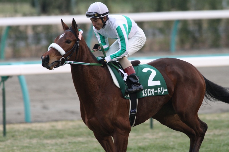 �t�F�A���[�r�@�Ԃ��n�@���W���I�[�h���[