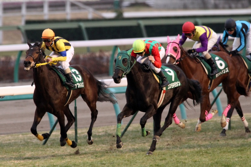 �t�F�A���[�r�@���[�X�@�R�X���l���V��