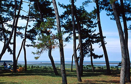 和間海浜公園