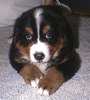 �������N